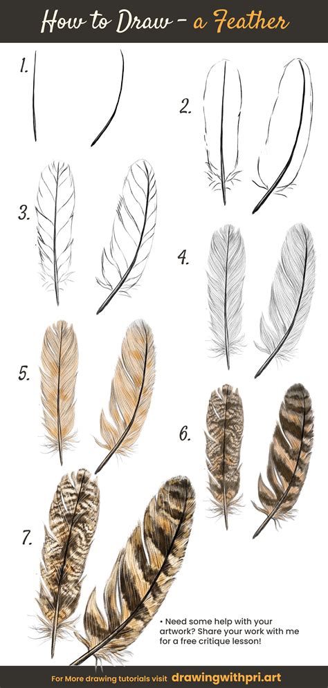 feathers to draw